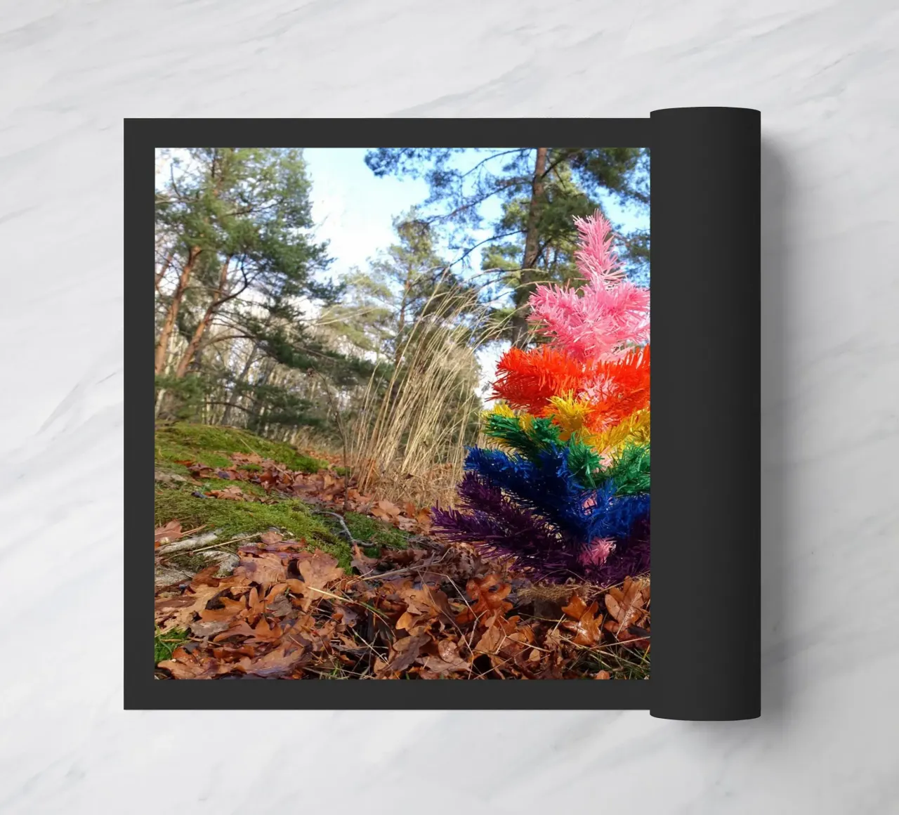 Albero di Raimbow zerbino da Massimo Frascogna