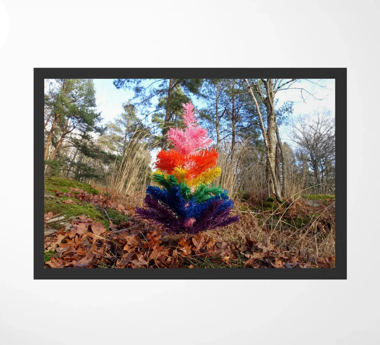 Albero di Raimbow zerbino da Massimo Frascogna