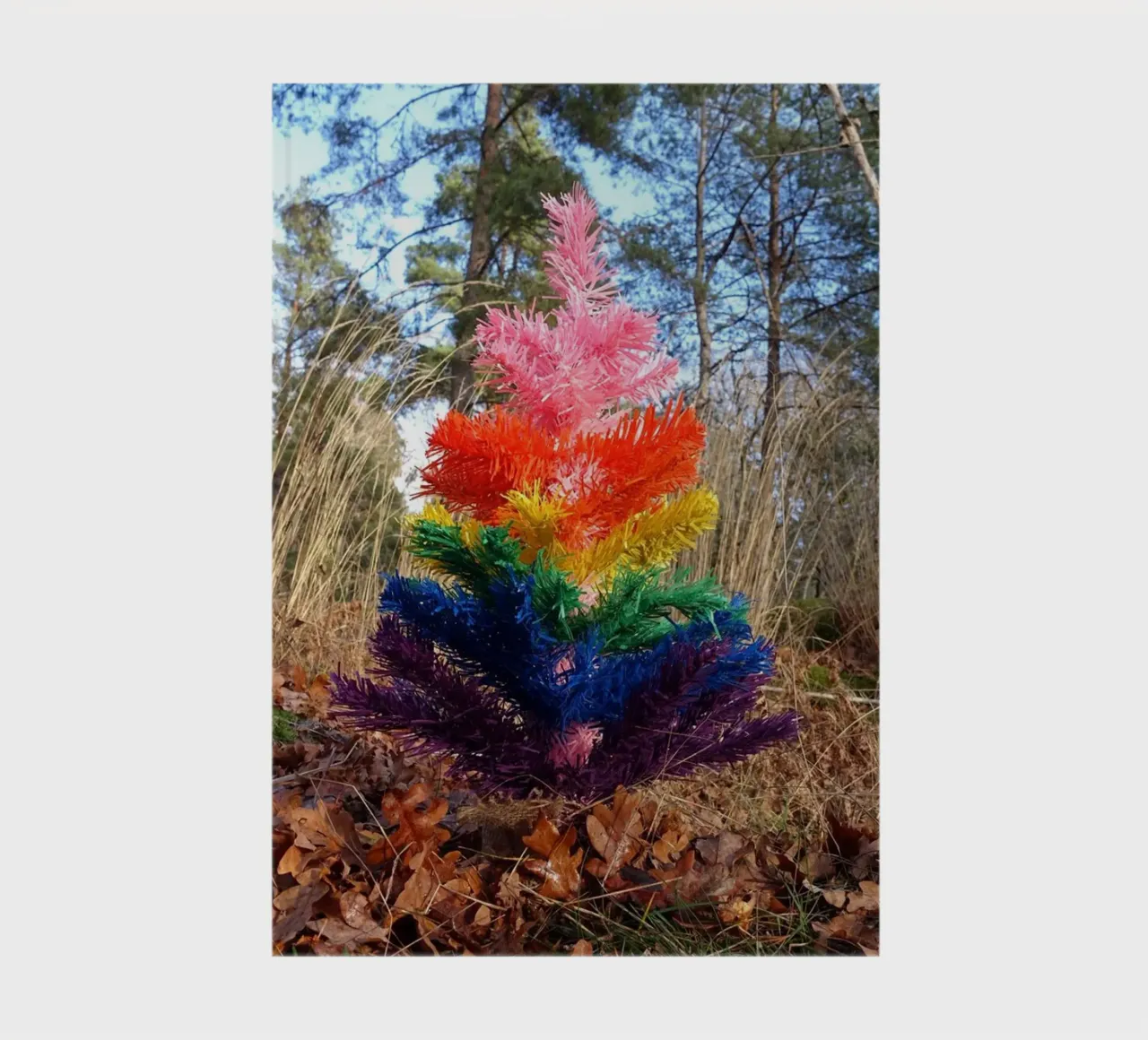 Albero di Raimbow diario da Massimo Frascogna