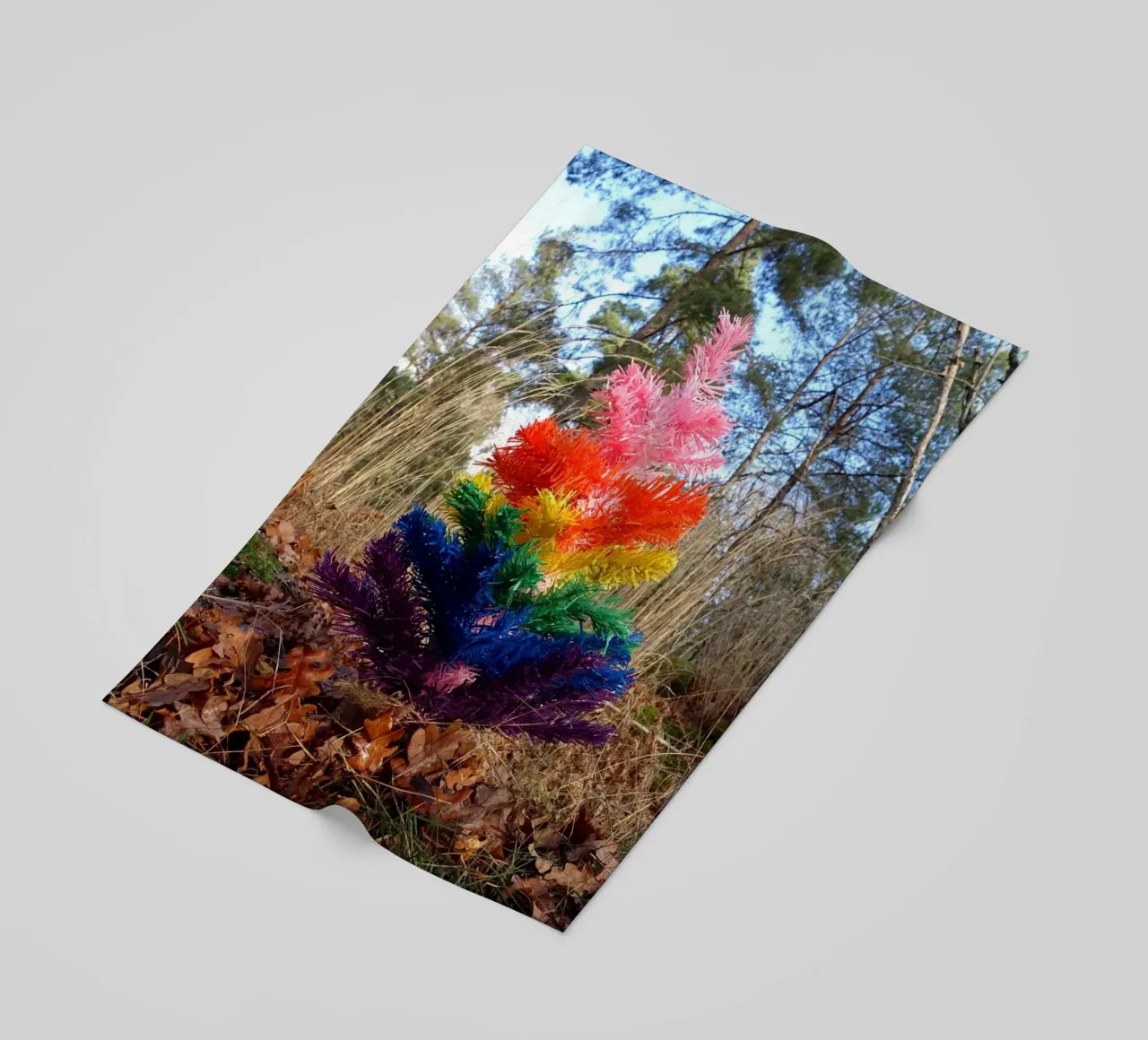 Albero di Raimbow telo mare da Massimo Frascogna