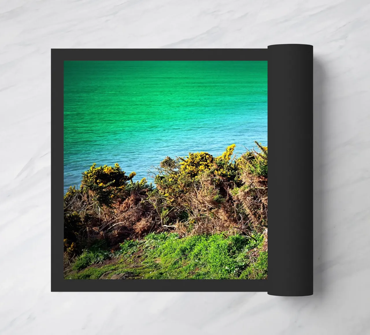 FAA213 zerbino da Thierry vobmann photography