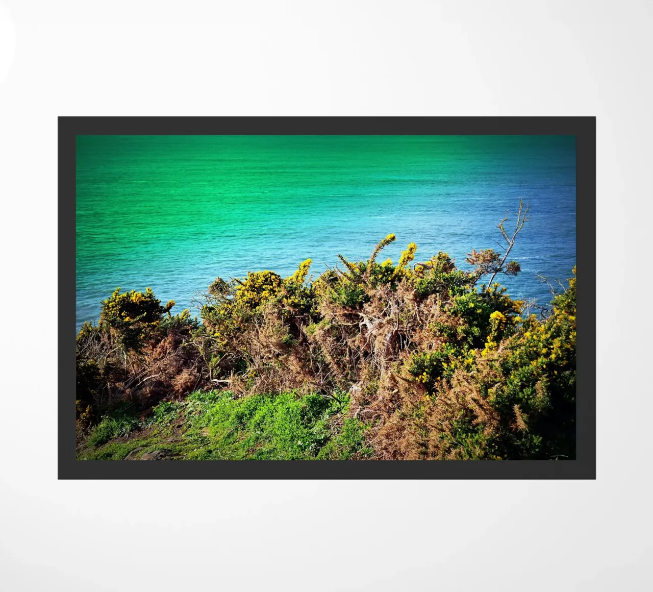 FAA213 zerbino da Thierry vobmann photography