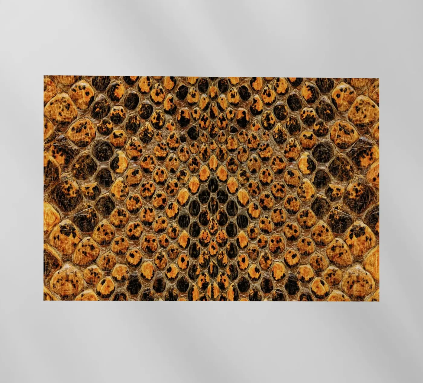 Snake Pattern backlit folie van Curious Collections by Marielle Leenders