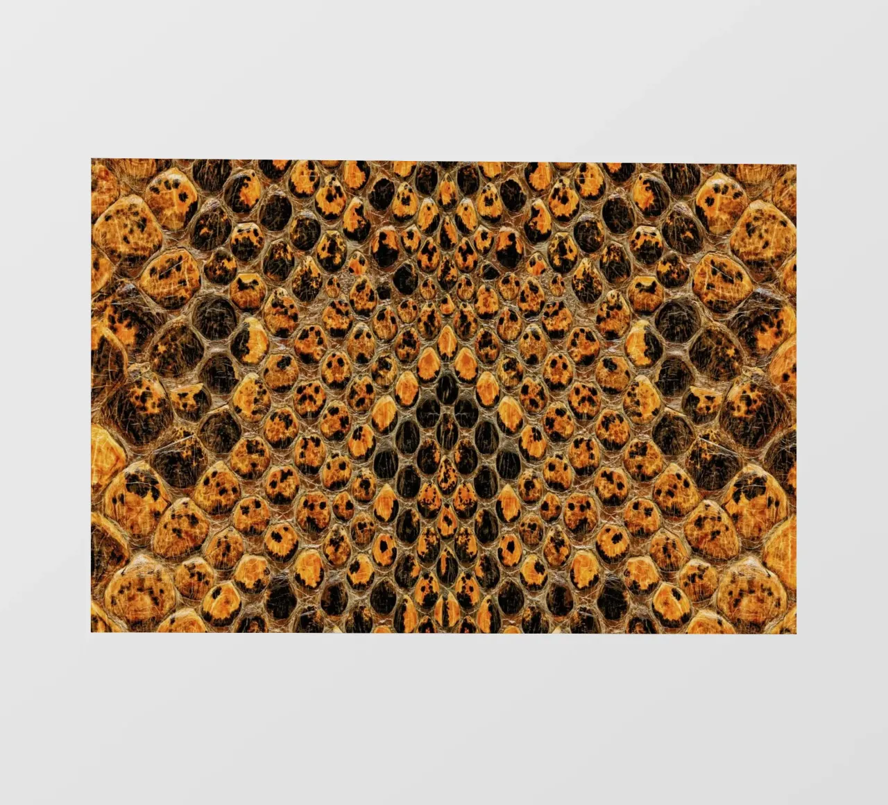 Snake Pattern pellicola backlit da Curious Collections by Marielle Leenders