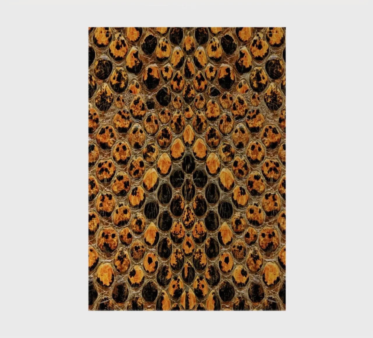 Snake Pattern notebook by Curious Collections by Marielle Leenders