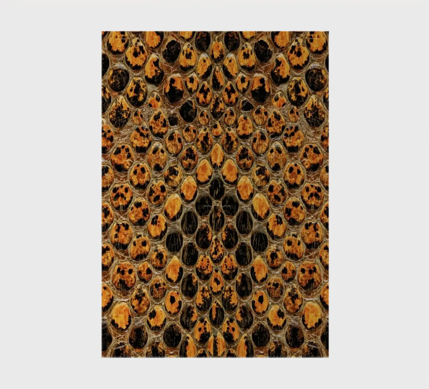 Snake Pattern notitieboek van Curious Collections by Marielle Leenders