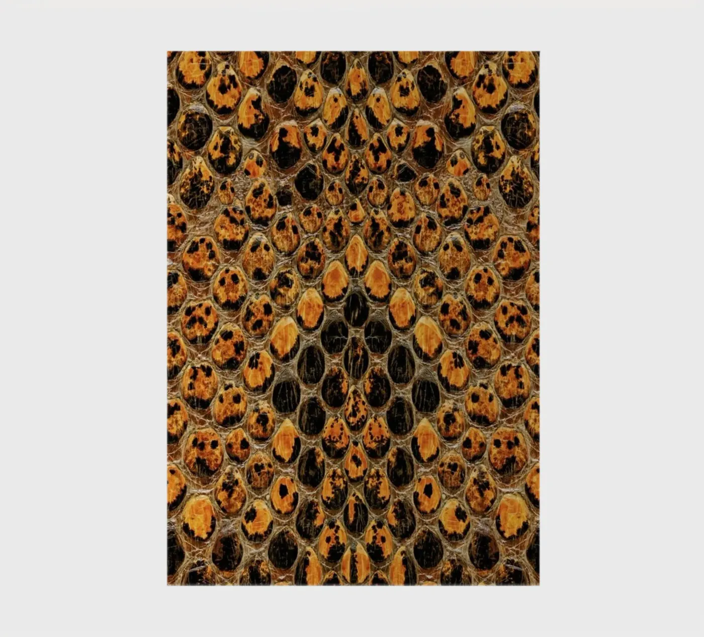 Snake Pattern Notizbuch von Curious Collections by Marielle Leenders