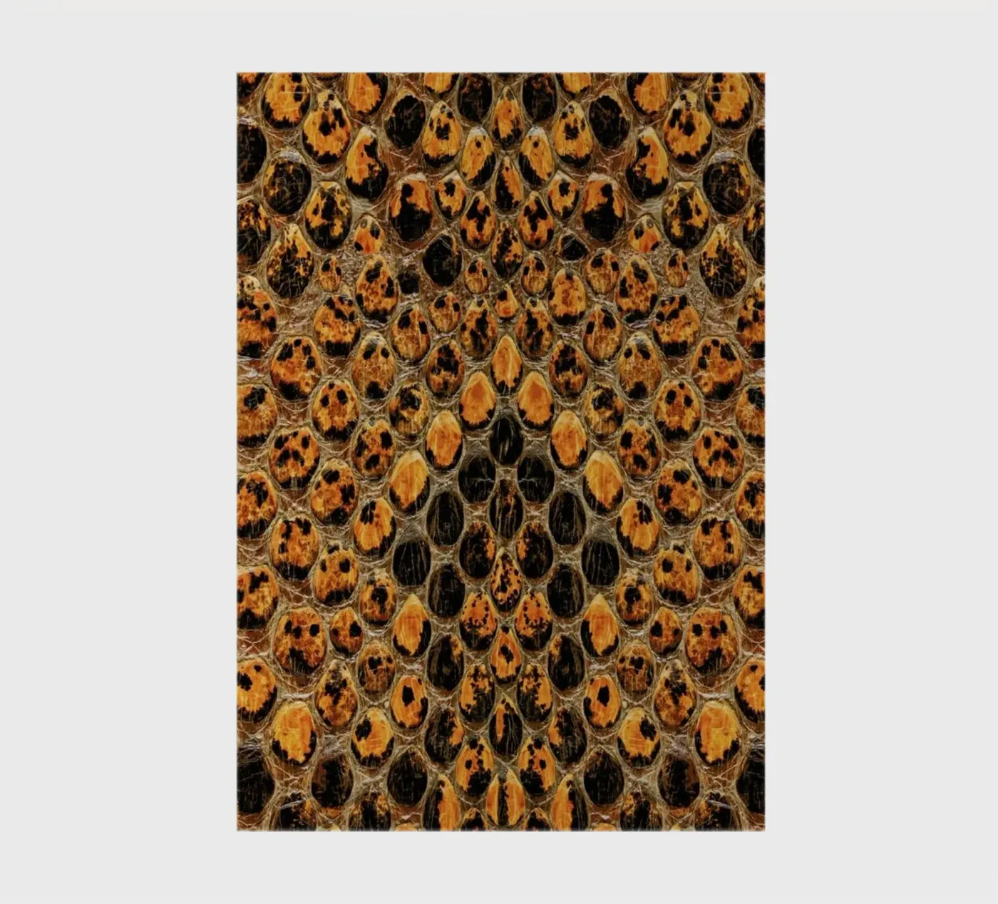 Snake Pattern Notizbuch von Curious Collections by Marielle Leenders