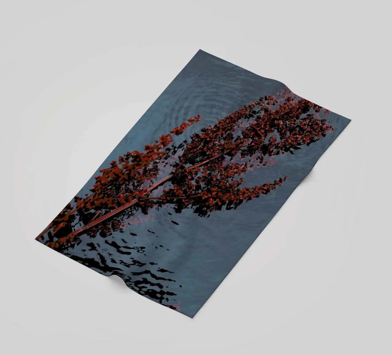 Blooming telo mare da Laura Palm