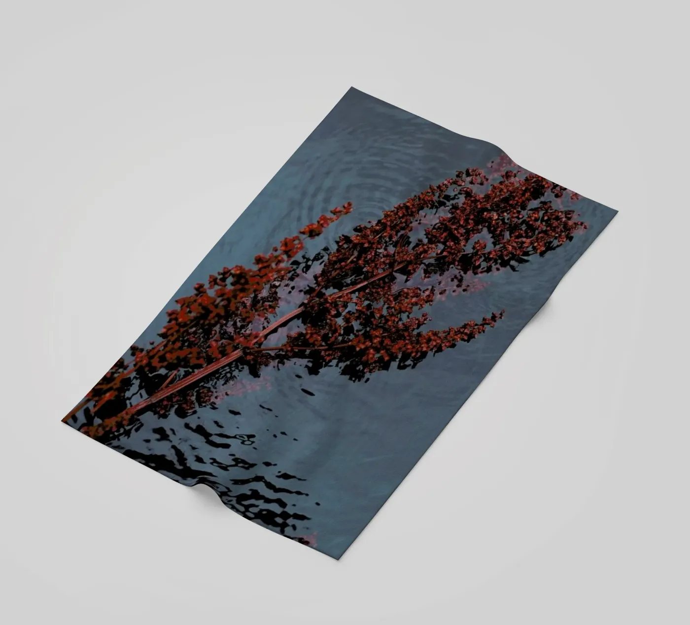 Blooming telo mare da Laura Palm