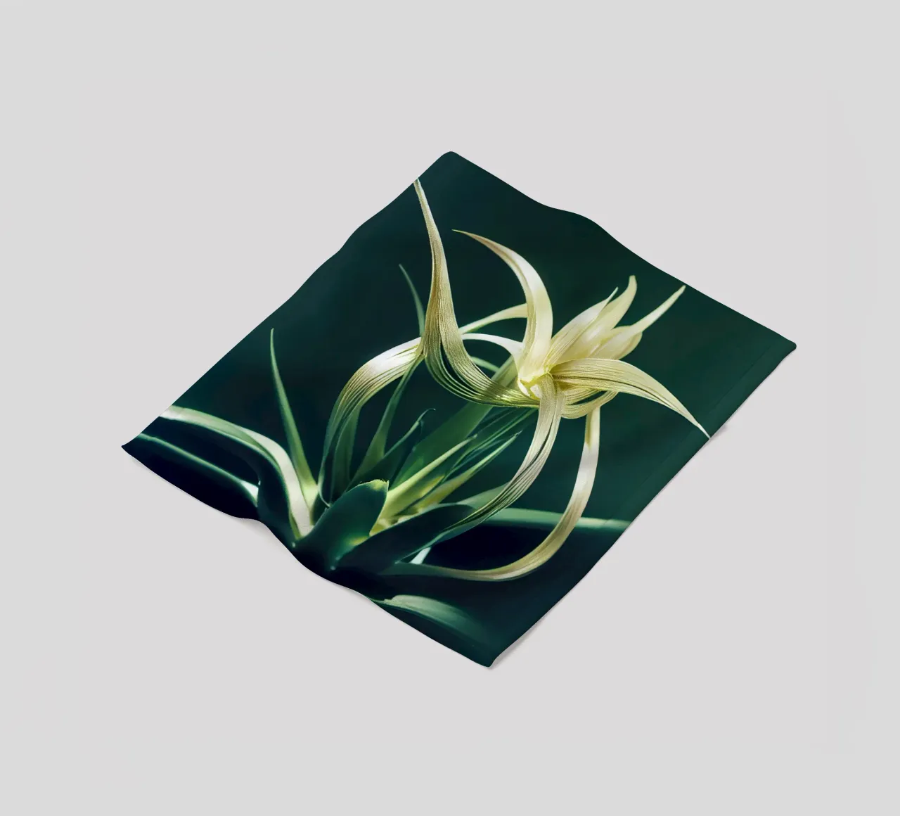 Macro fiore di Aloe Vera coperta in pile da Bold Blooms