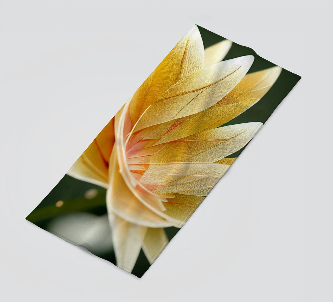 Fiore Macro Ashok telo mare da Bold Blooms