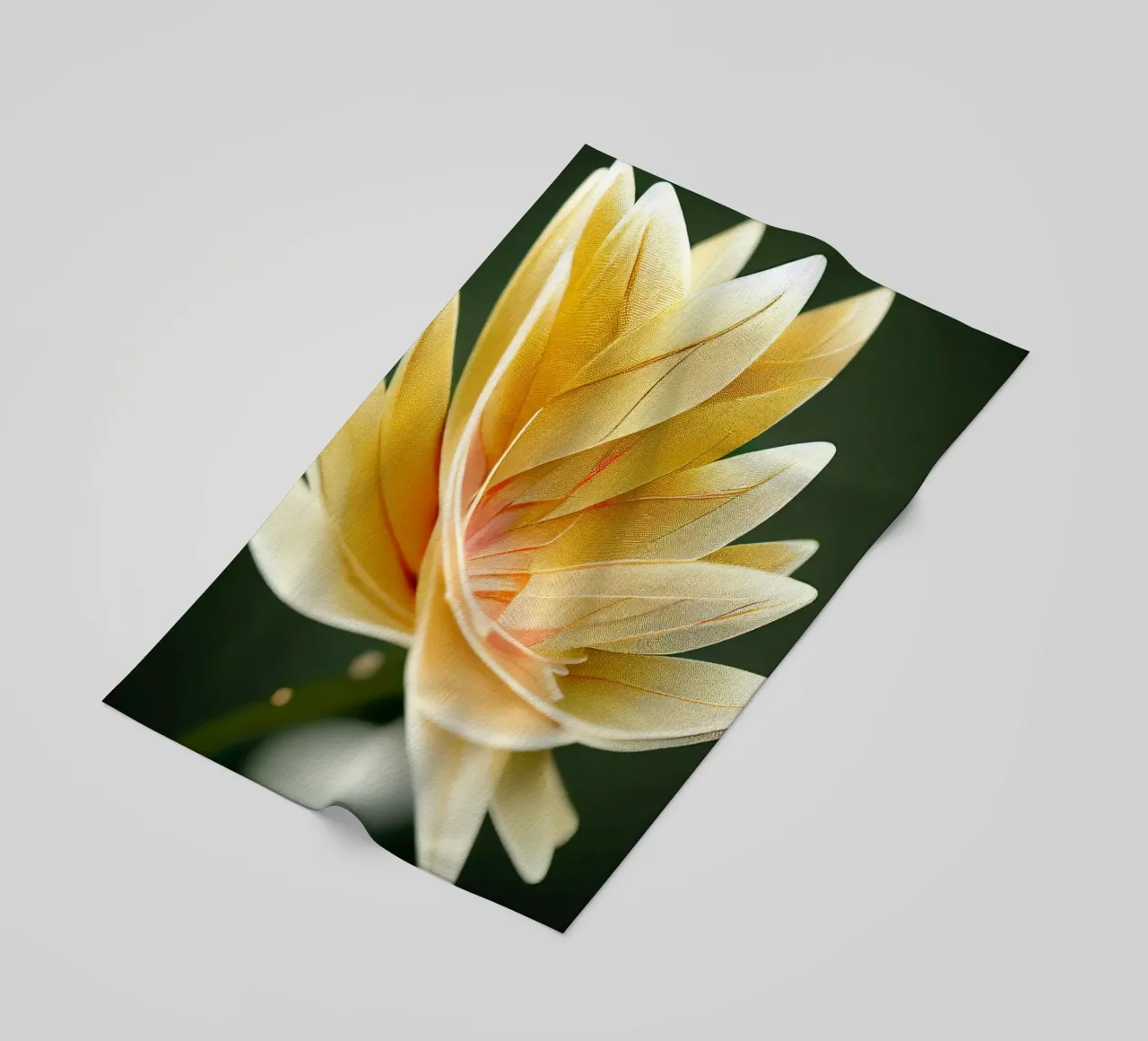 Flor Macro Ashok toalla de playa de Bold Blooms