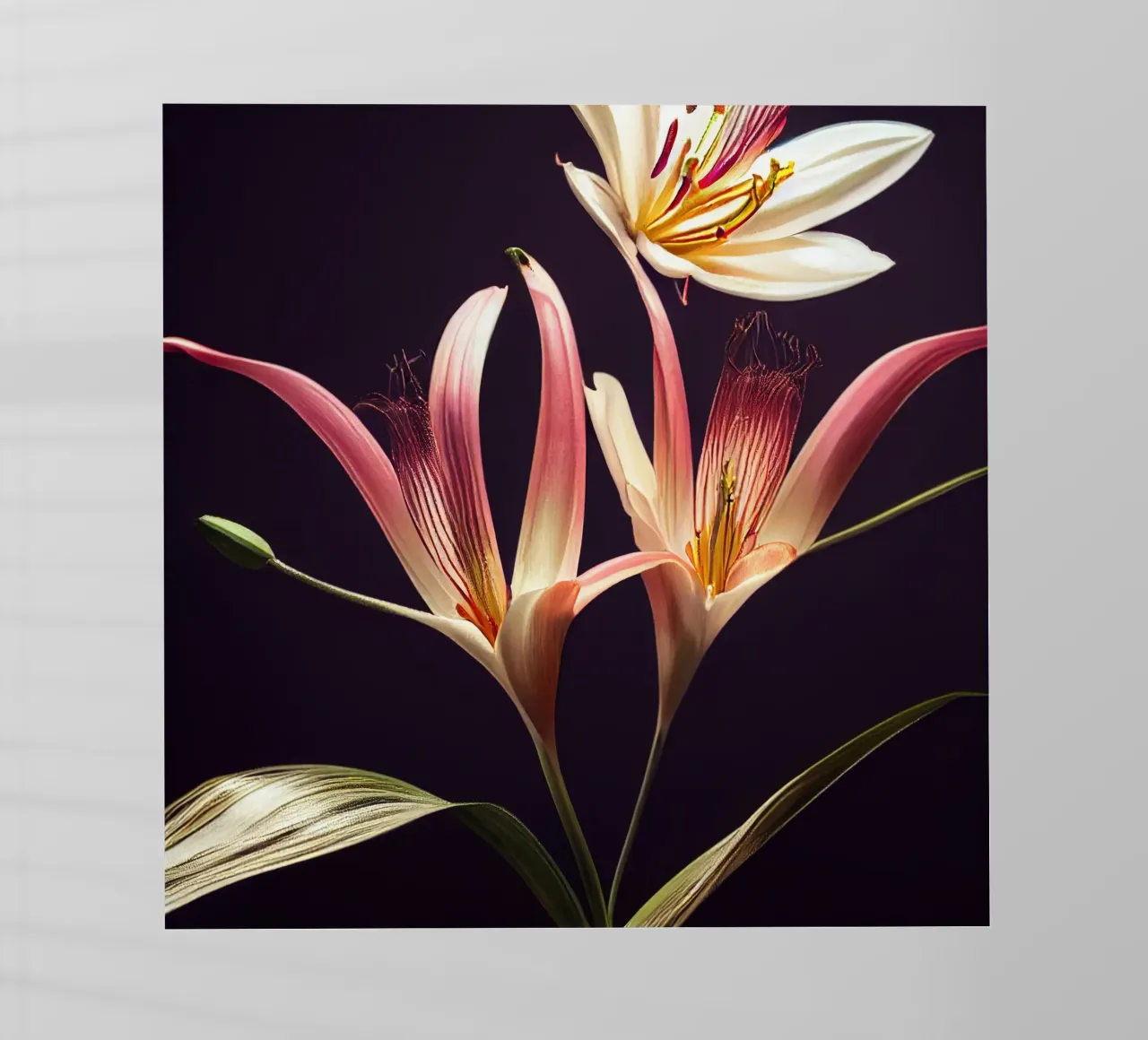 Macro fiore di giglio asiatico pellicola backlit da Bold Blooms