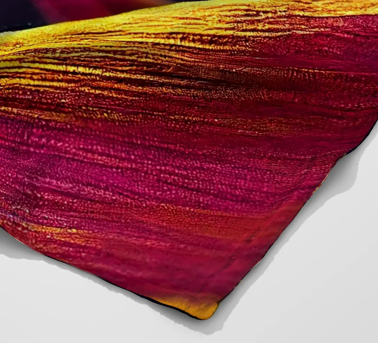 Macro Fiore di curcuma nera coperta in pile da Bold Blooms