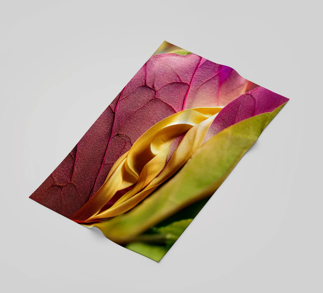 Macro Bougainvilea Flower telo mare da Bold Blooms