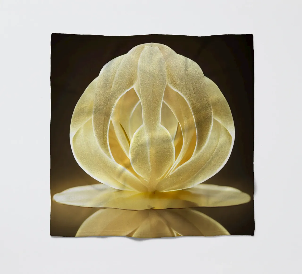 Flor de malva Macro Burr manta de franela de Bold Blooms