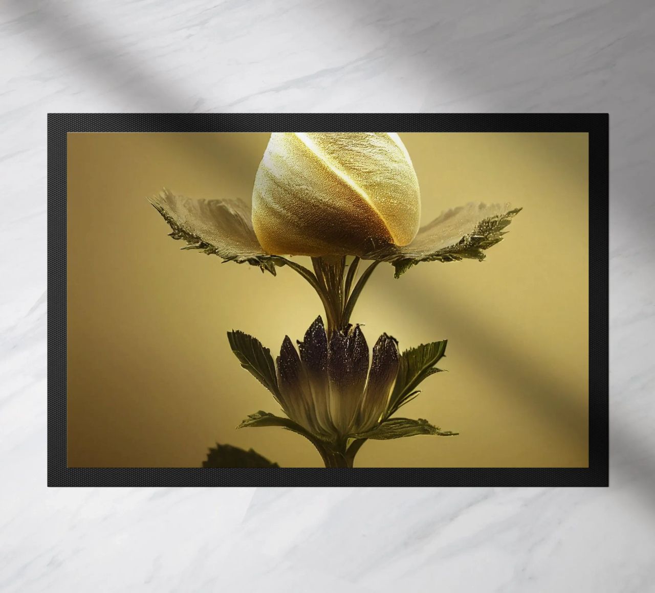 Macro bava di malva zerbino da Bold Blooms