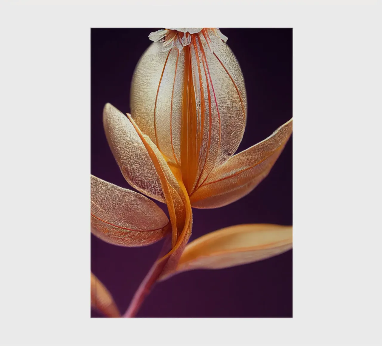 Macro Butea Monosperma Flower notebook by Bold Blooms
