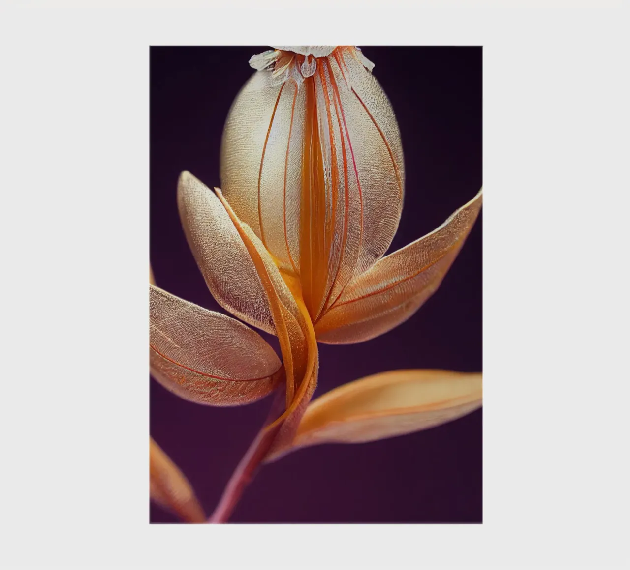 Macro Butea Monosperma Flower notebook by Bold Blooms