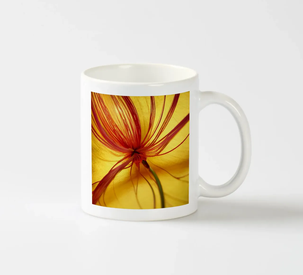 Macro Butea Monosperma Flower tazza in ceramica da Bold Blooms