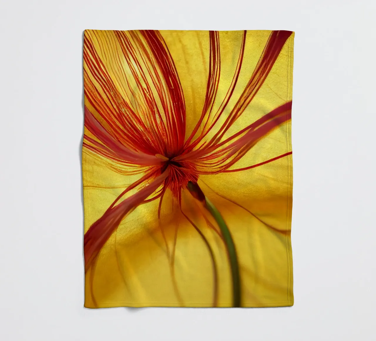 Macro Butea Monosperma Flower coperta in pile da Bold Blooms