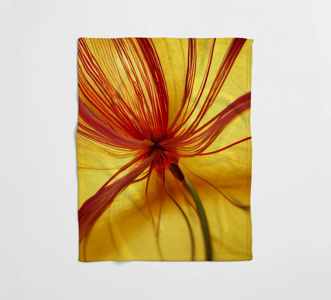 Macro Butea Monosperma Flower coperta in pile da Bold Blooms
