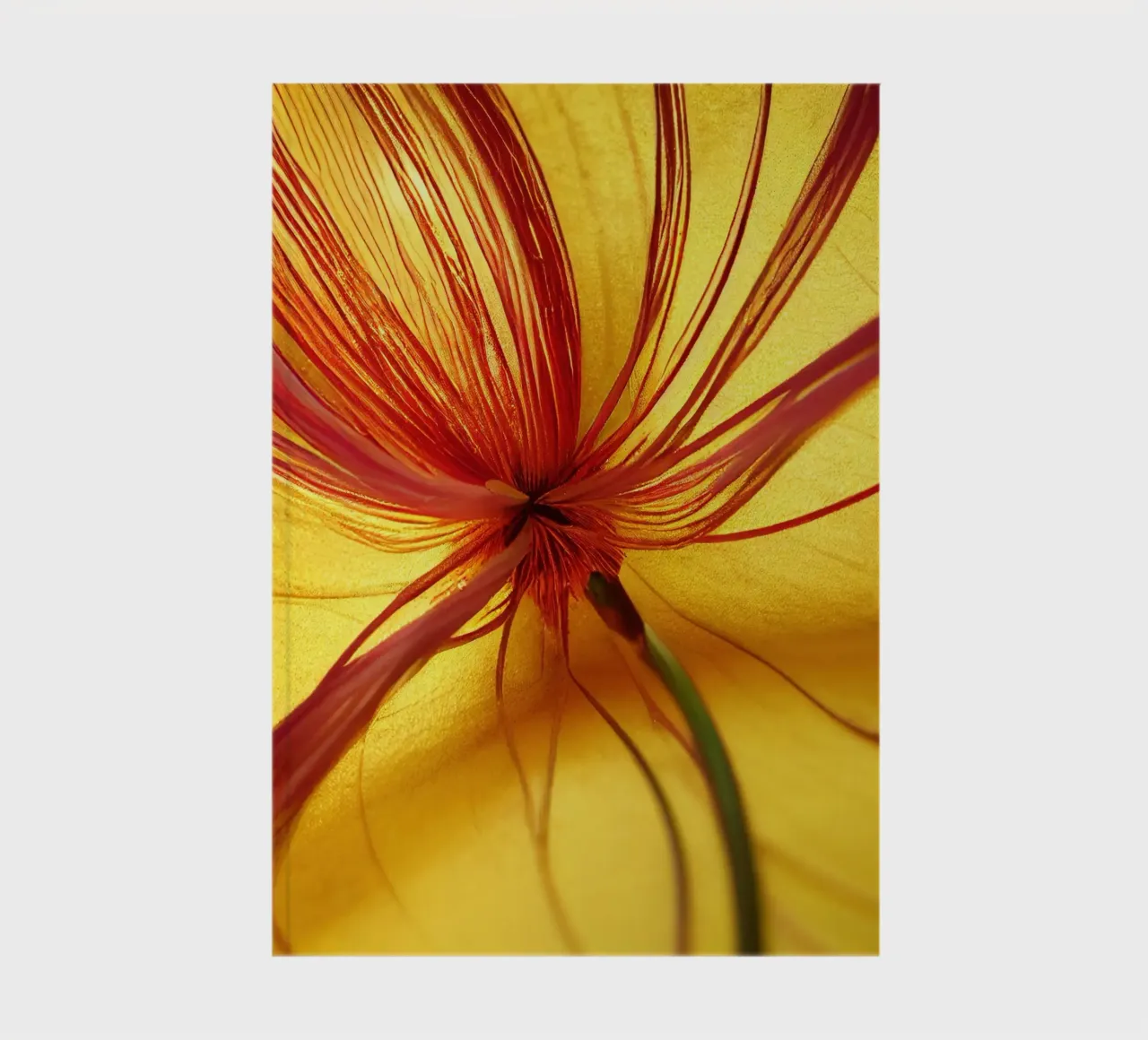 Macro Butea Monosperma Flower notebook by Bold Blooms