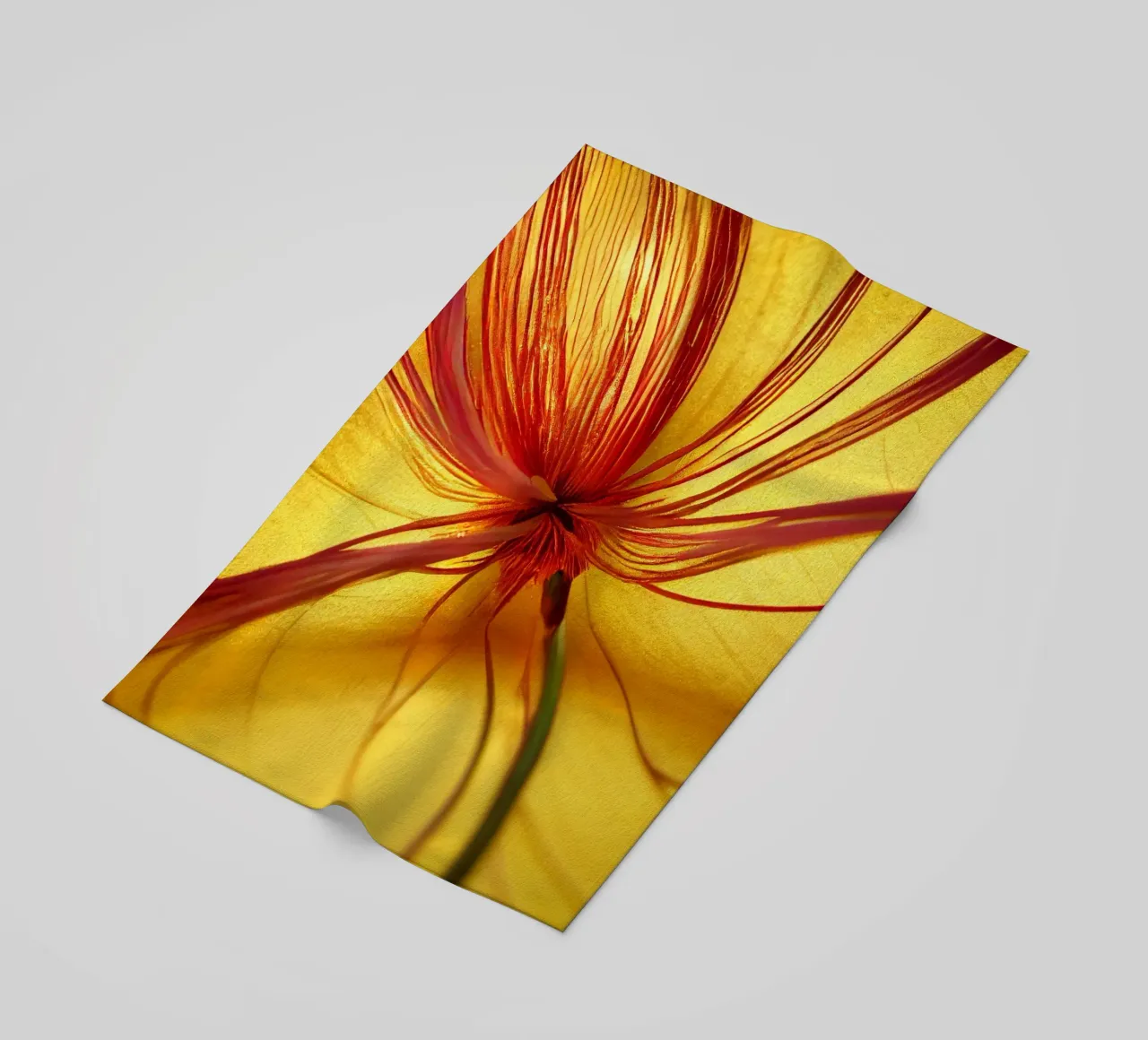 Macro Butea Monosperma Flower telo mare da Bold Blooms