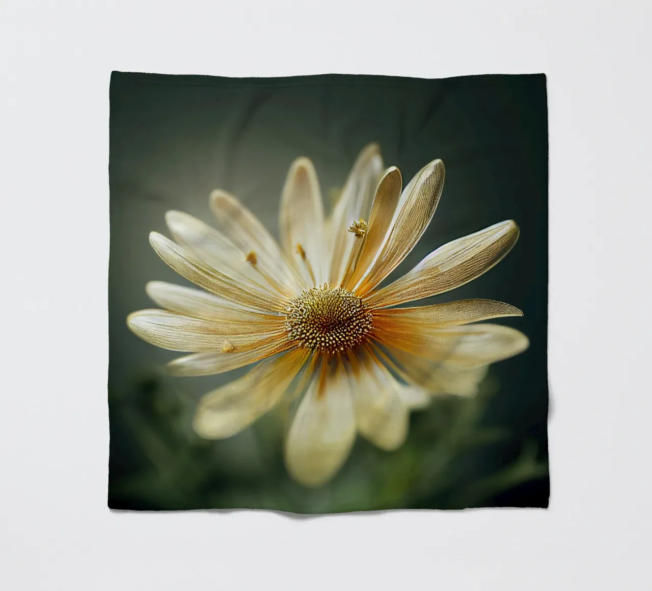 Fiore di camomilla macro coperta in pile da Bold Blooms