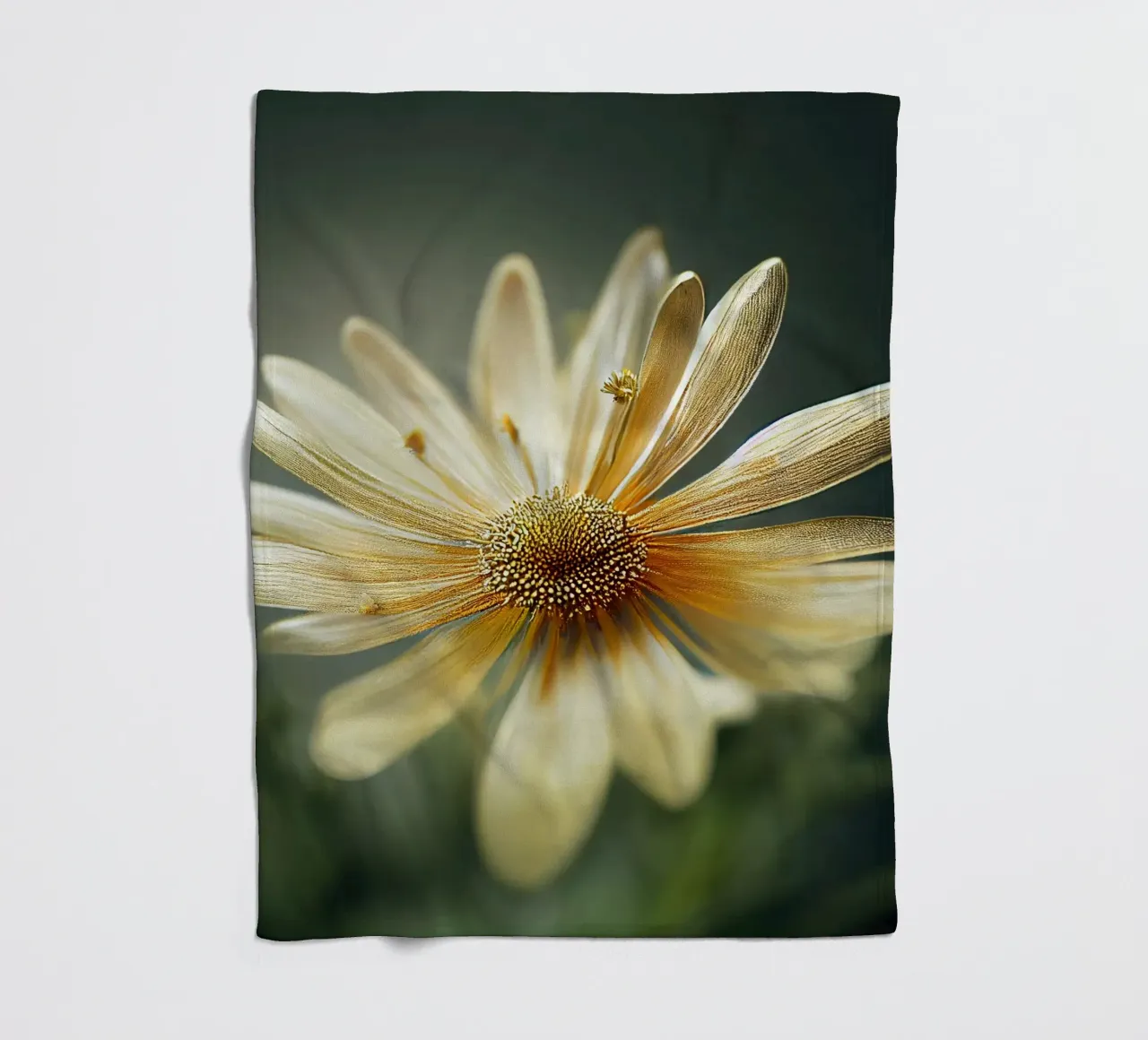 Fiore di camomilla macro coperta in pile da Bold Blooms