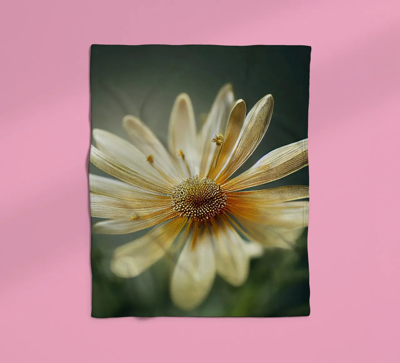 Fiore di camomilla macro coperta in pile da Bold Blooms