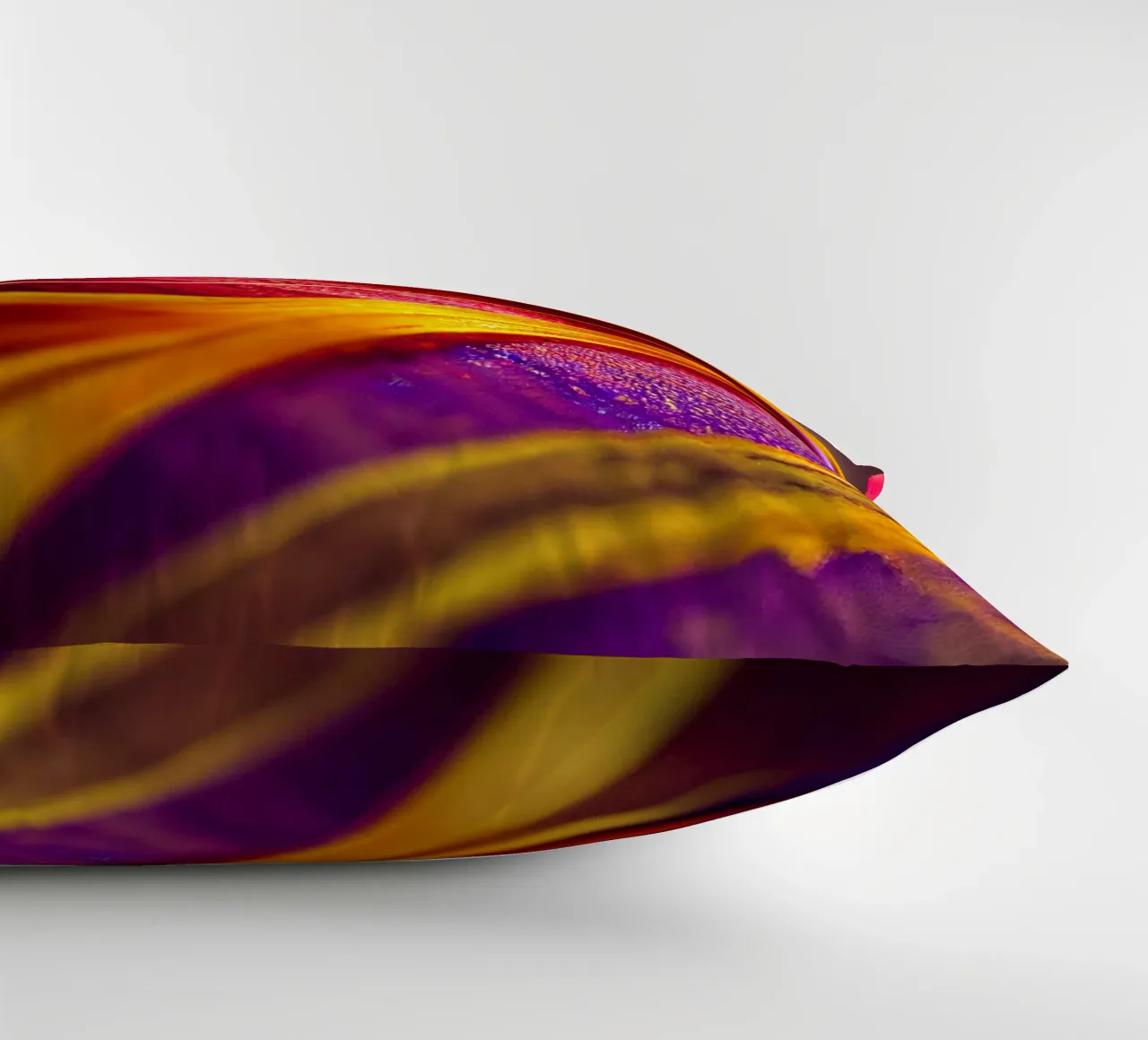 Macro Cobra Saffron Flower decorative cushion by Bold Blooms