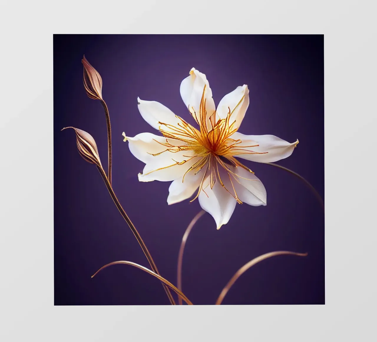 Macro fiore di aquilegia pellicola backlit da Bold Blooms