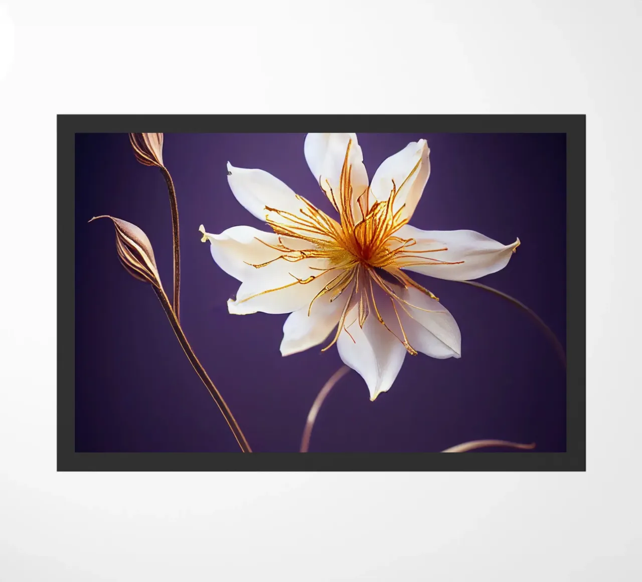 Macro fiore di aquilegia zerbino da Bold Blooms
