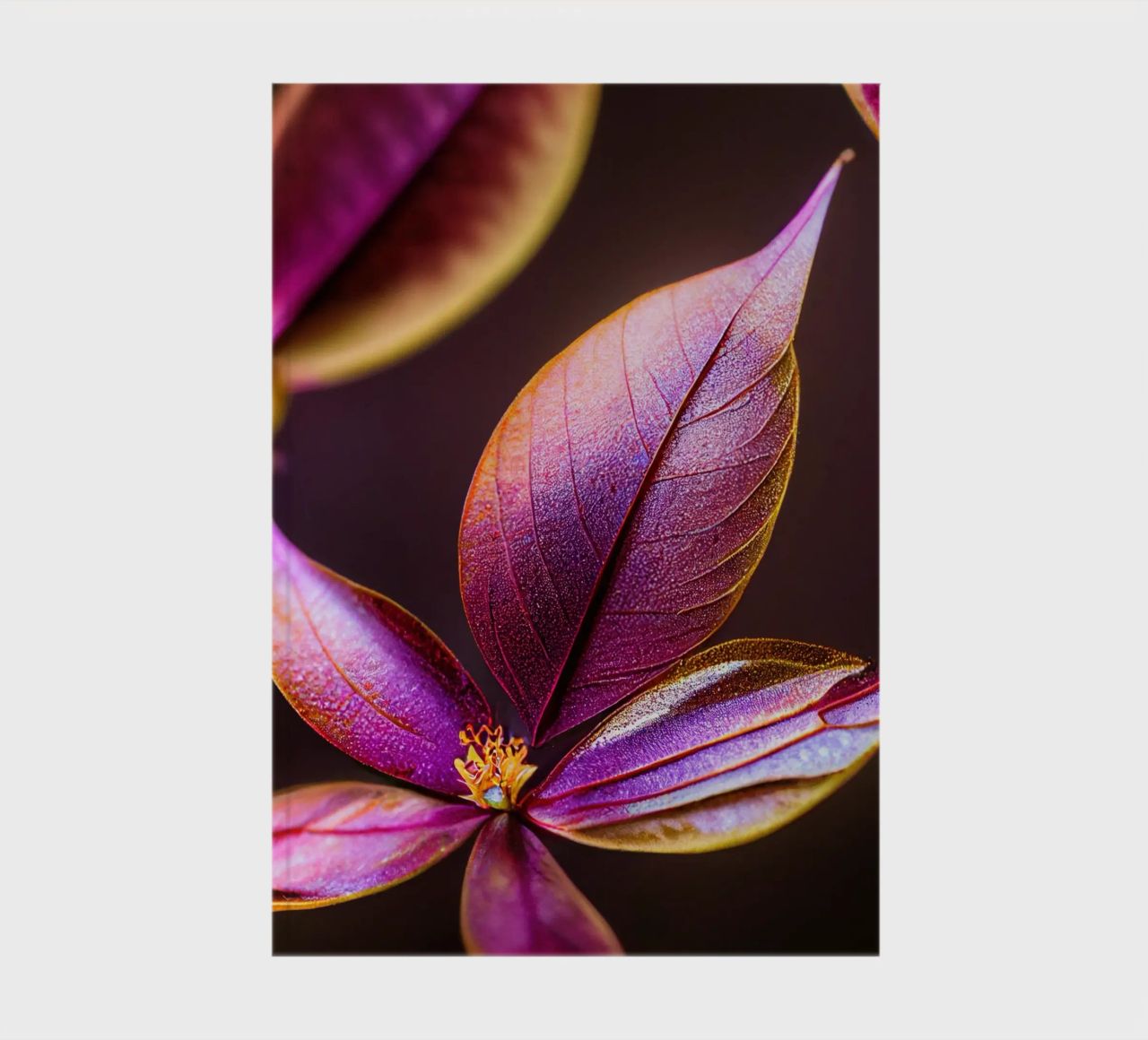 Macro Fiore di mirto comune diario da Bold Blooms