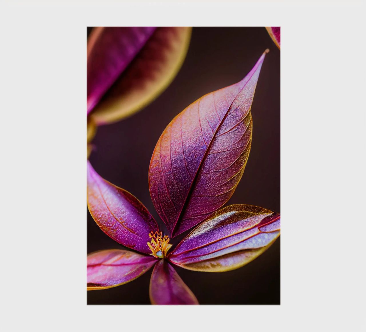 Macro Fiore di mirto comune diario da Bold Blooms