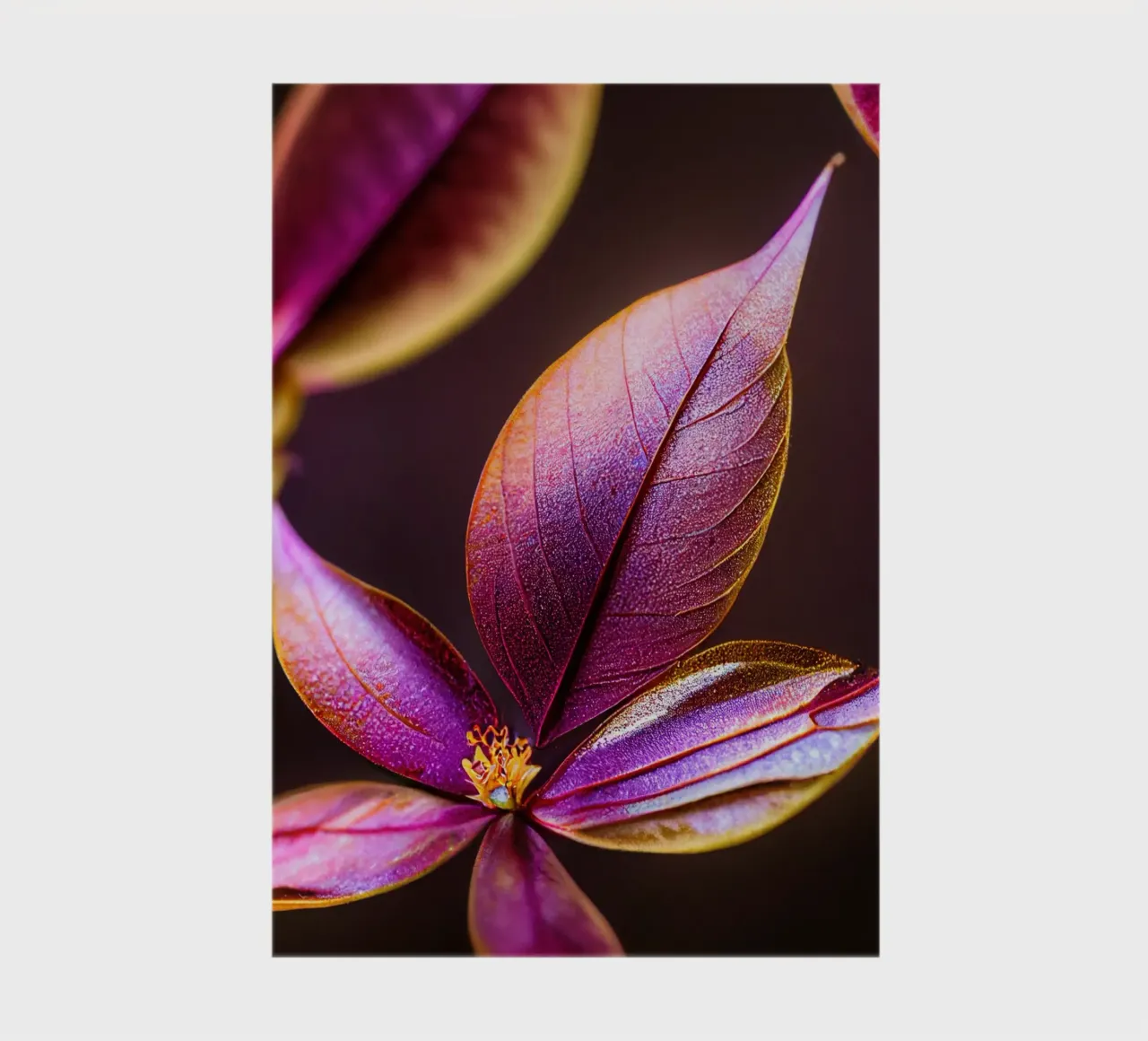 Macro Fiore di mirto comune diario da Bold Blooms