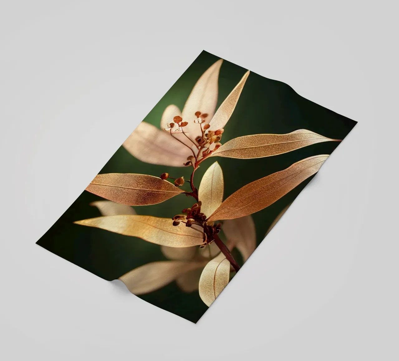 Macro Gewone crape myrtle bloem strandhanddoek van Bold Blooms