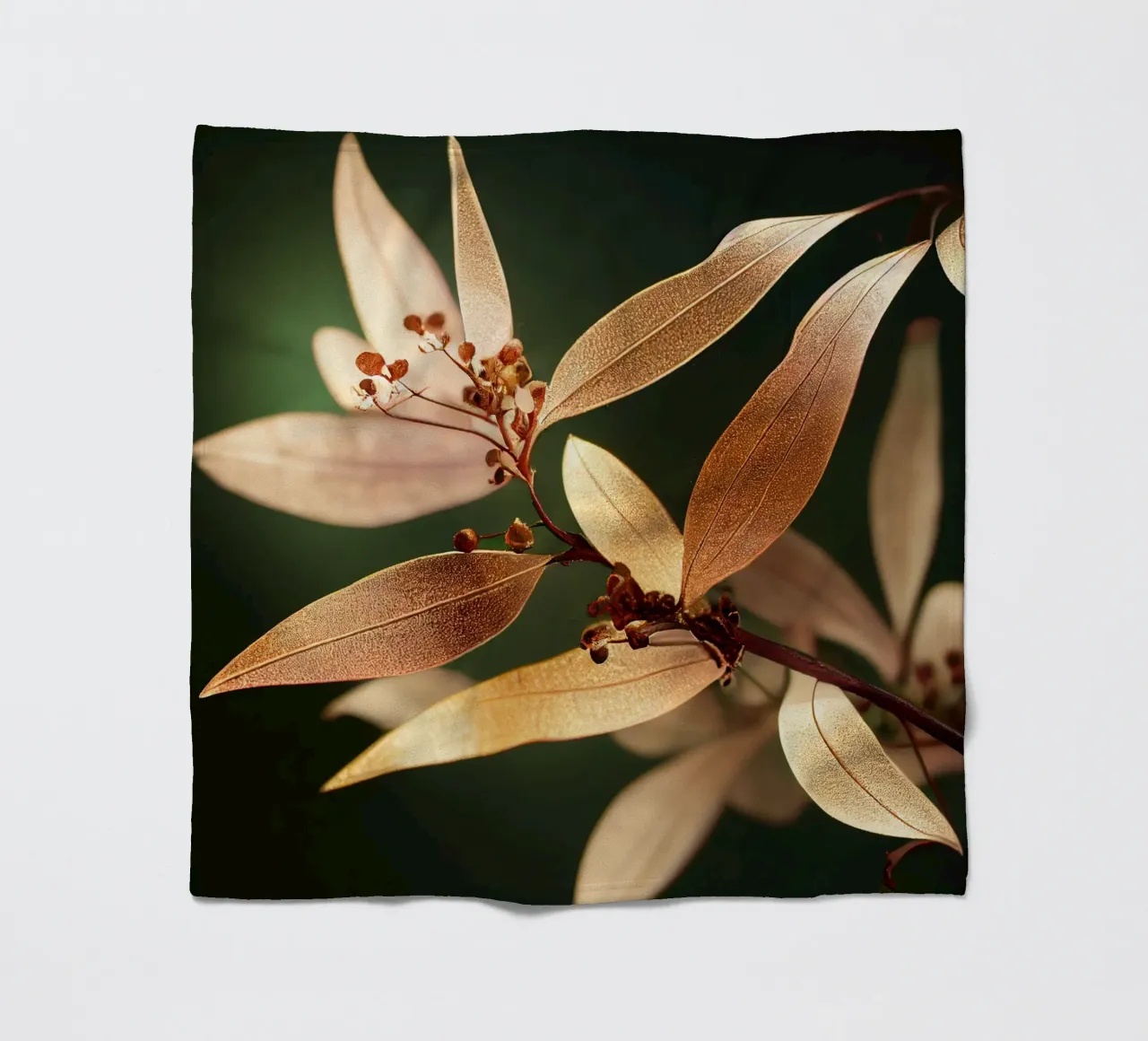 Macro Fiore di mirto comune coperta in pile da Bold Blooms