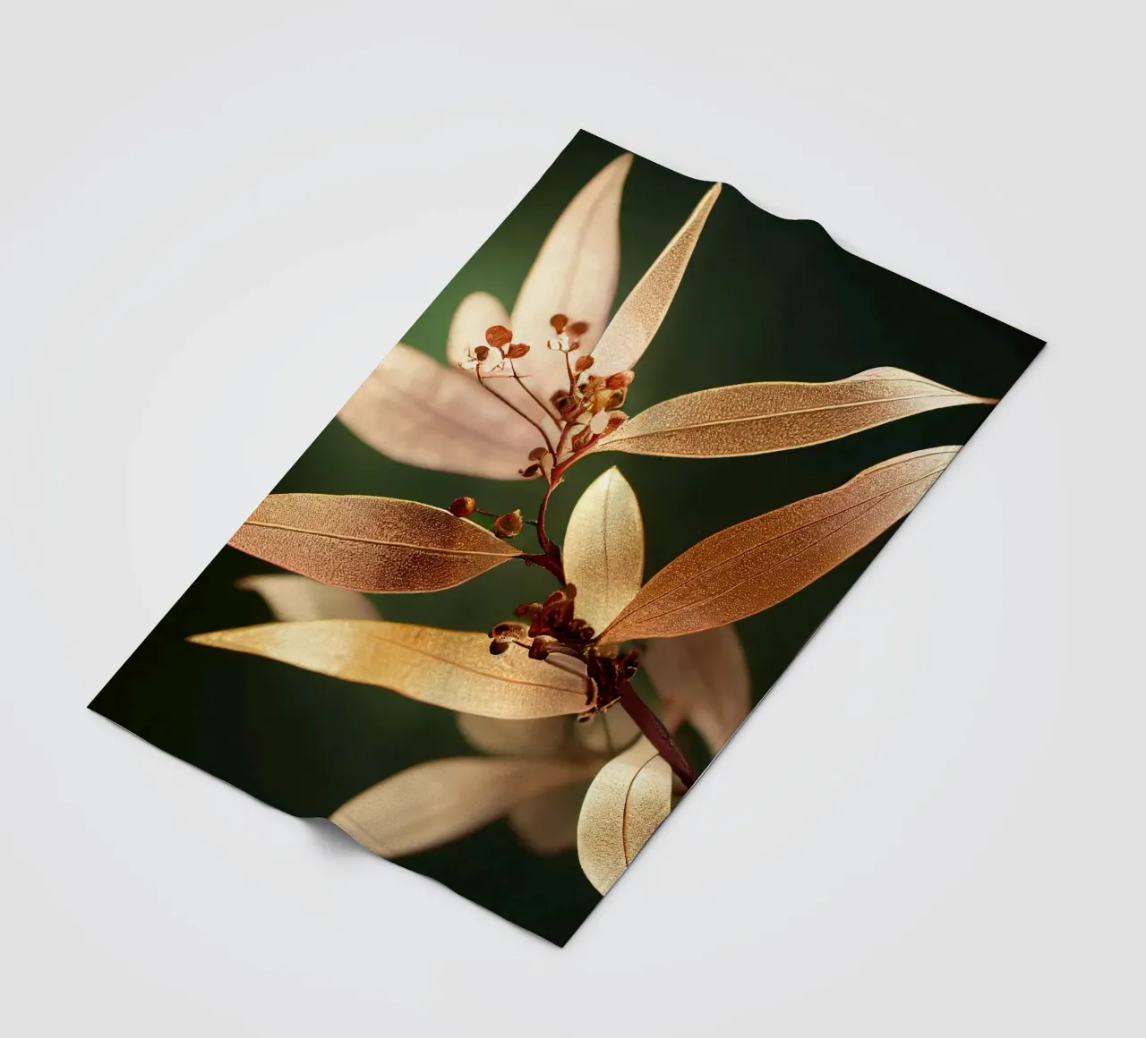 Macro Fiore di mirto comune coperta in pile da Bold Blooms