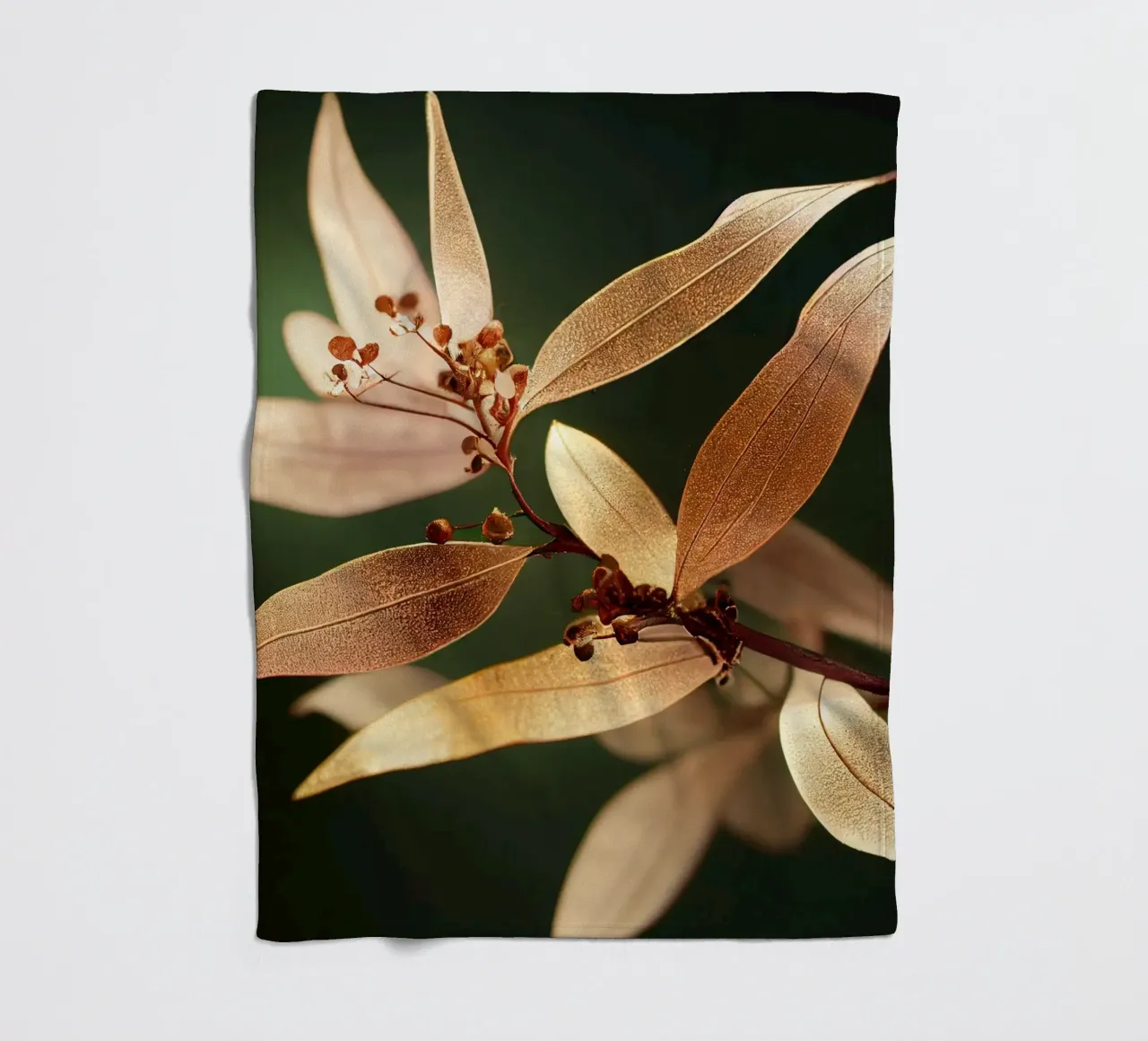 Macro Fiore di mirto comune coperta in pile da Bold Blooms