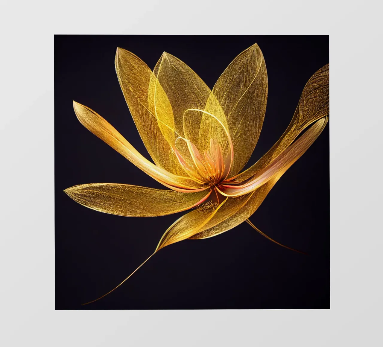 Macro fiore di Dahila pellicola backlit da Bold Blooms