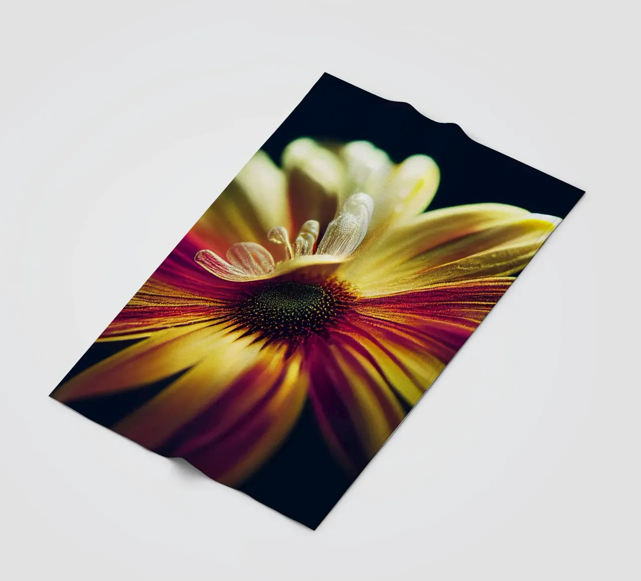 Macro margherita coperta in pile da Bold Blooms