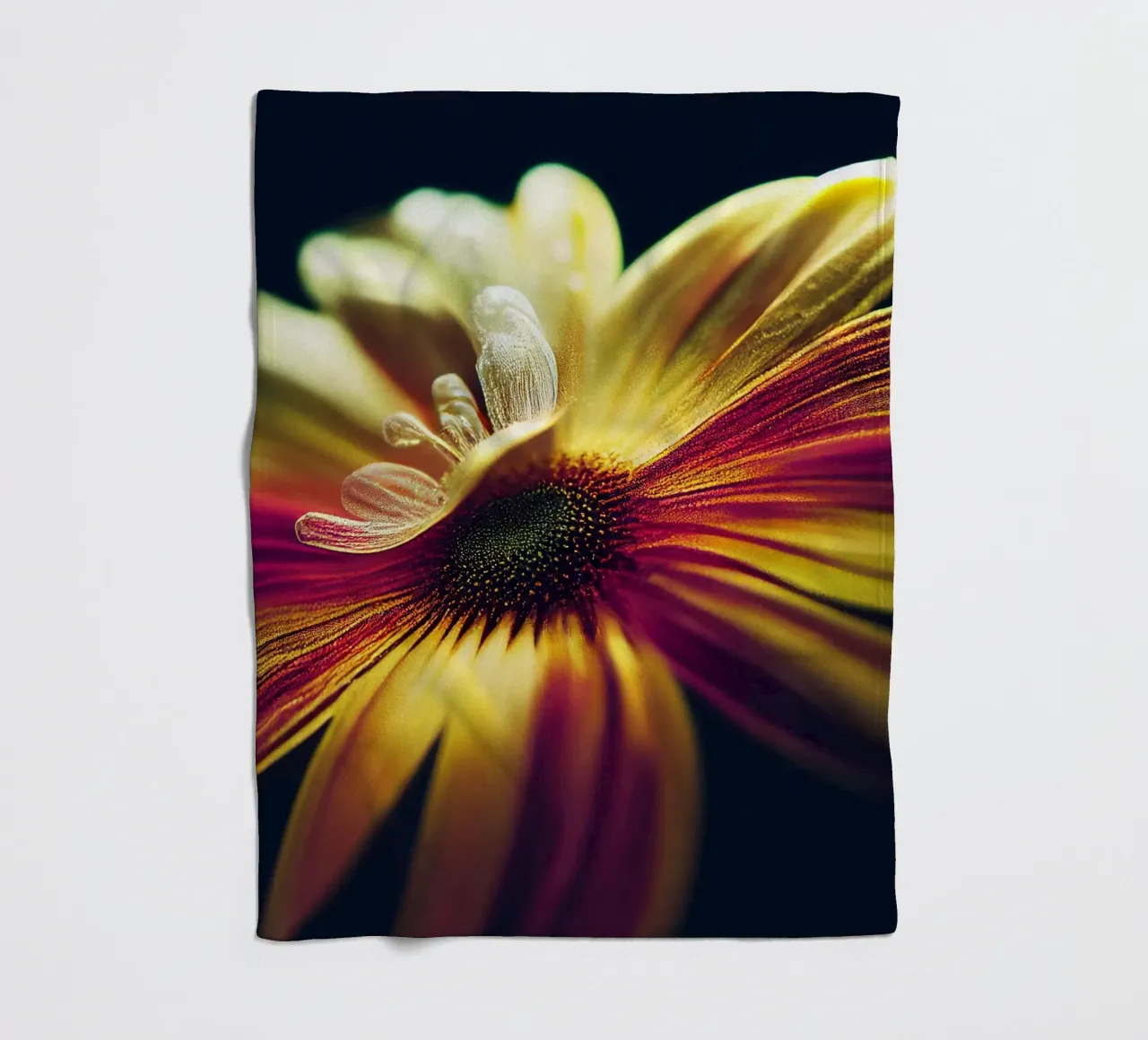 Macro margherita coperta in pile da Bold Blooms
