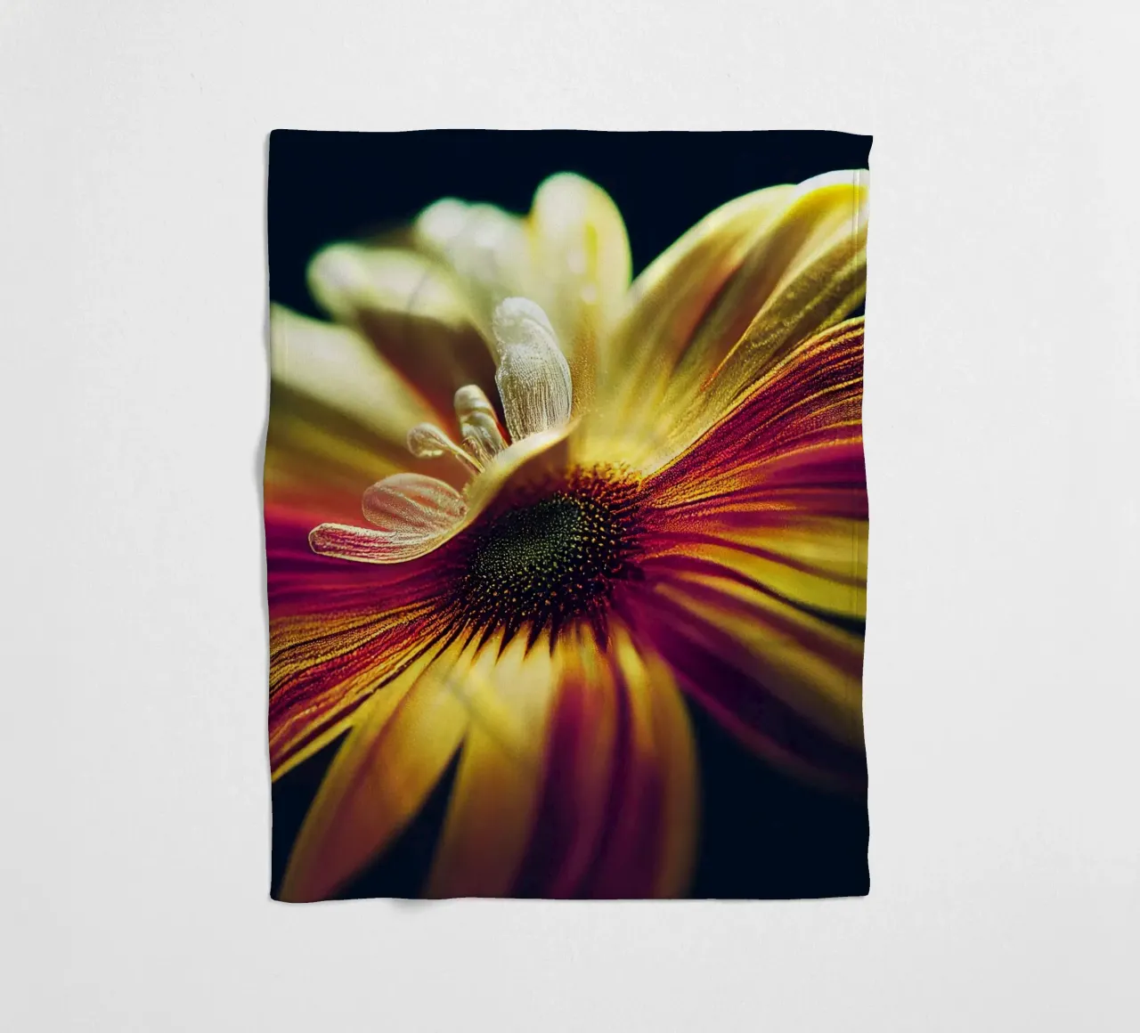 Macro margherita coperta in pile da Bold Blooms