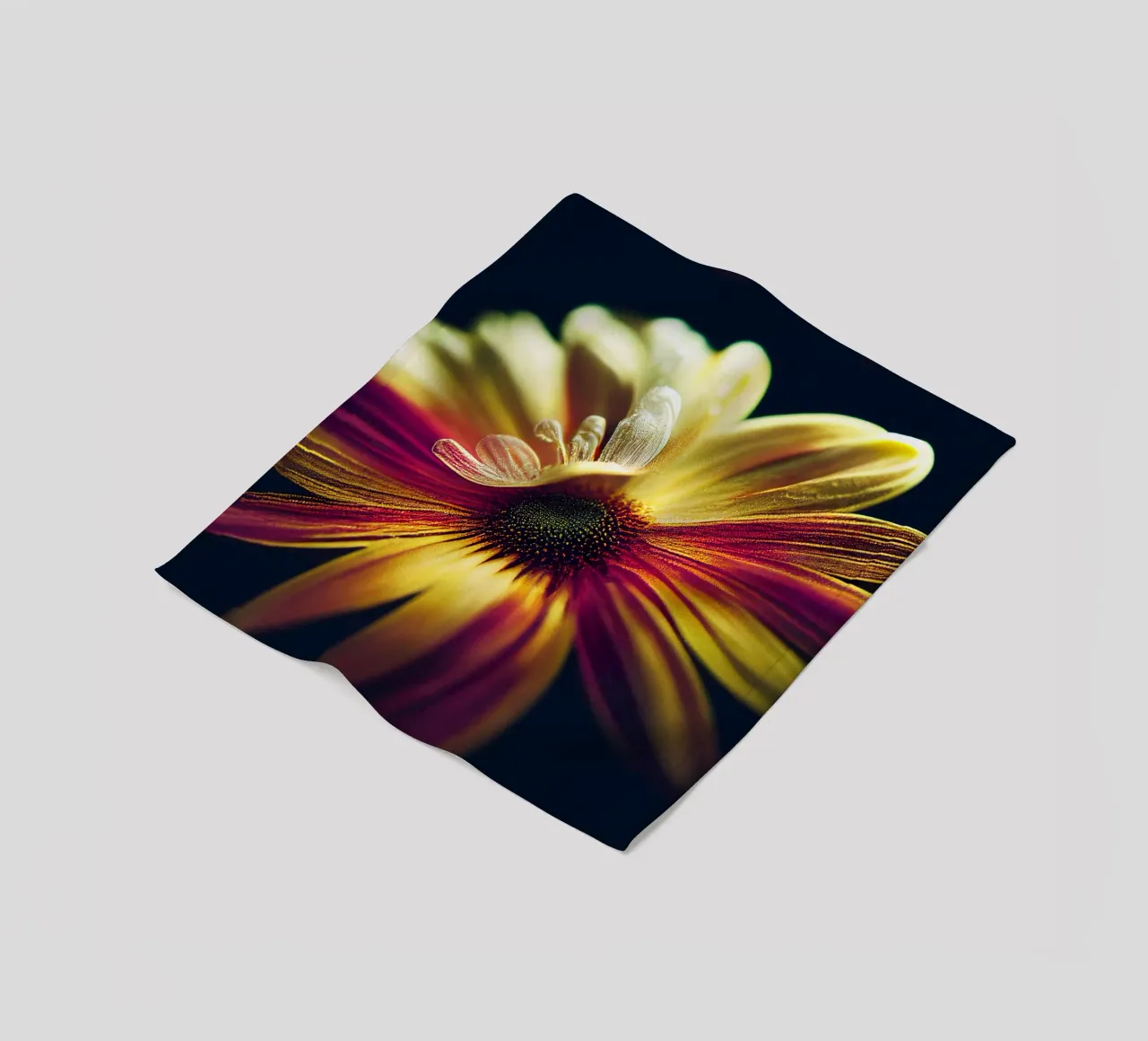 Macro margherita coperta in pile da Bold Blooms