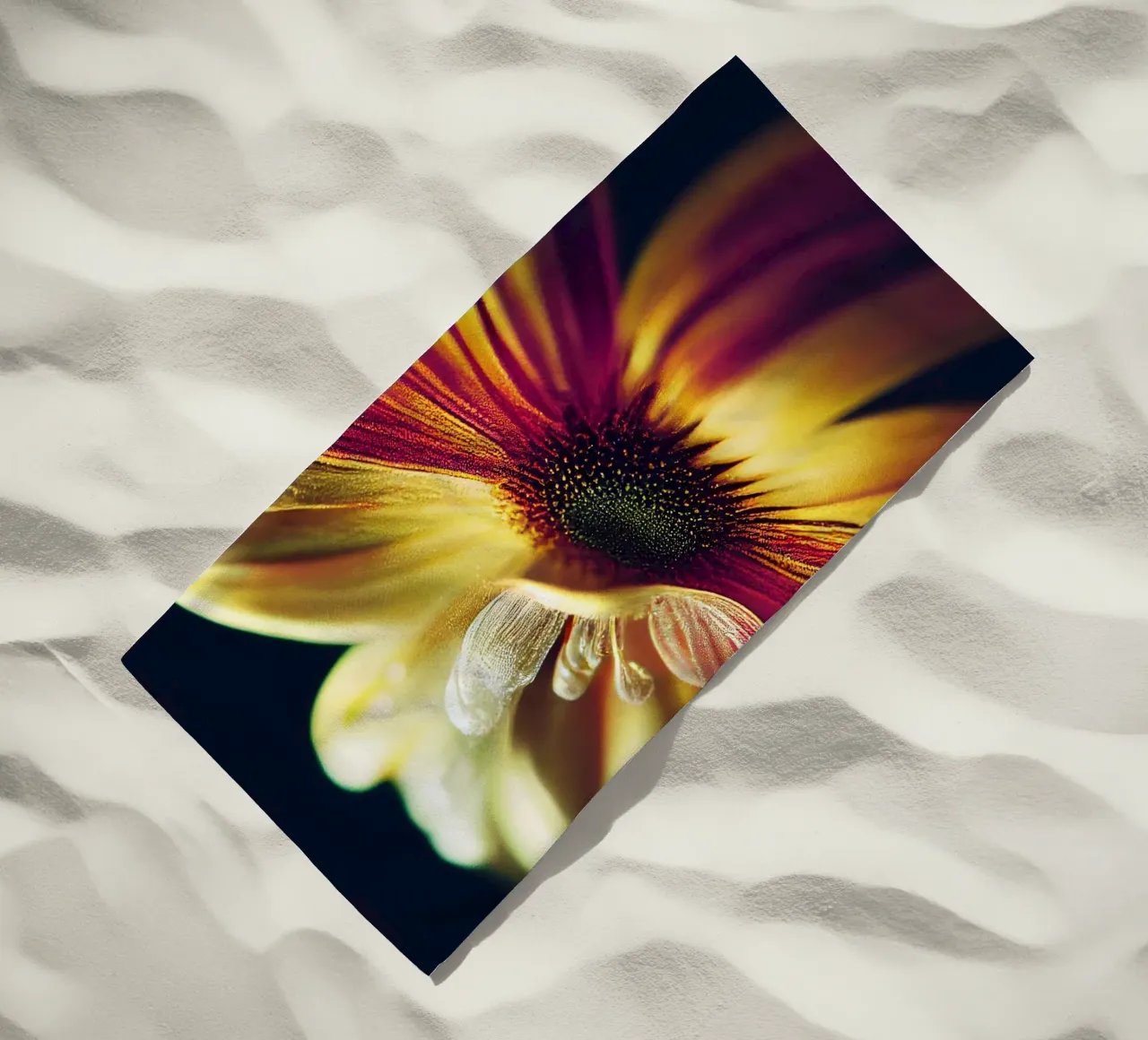 Macro margherita telo mare da Bold Blooms