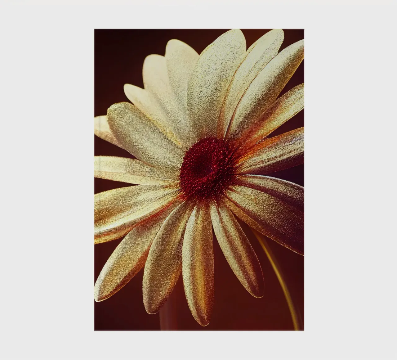 Macro Daisy Flower notebook by Bold Blooms