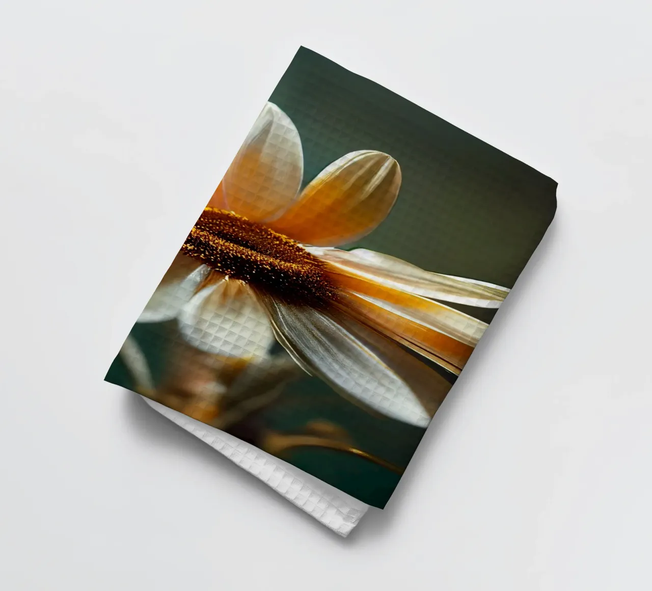 Macro margherita canovaccio da cucina da Bold Blooms
